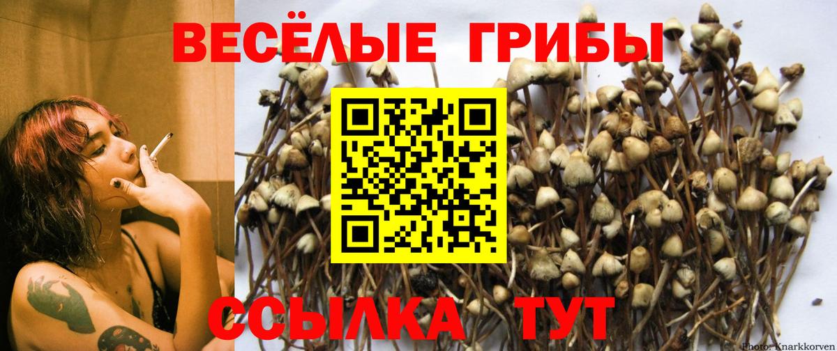купить наркотики цена  Вход с VPN  Псилоцибиновые грибы Magic Shrooms  Мариинск  Галлюциногенные грибы мицелий 